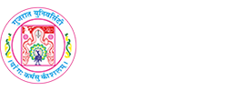 Partner 32